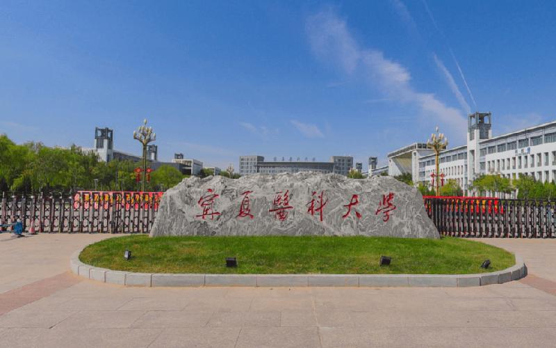 探寻宁夏，历史长河中的文化瑰宝与发展蓝图