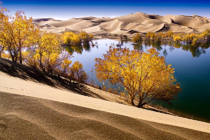 新疆，梦想疆域，自信舞台的璀璨之地